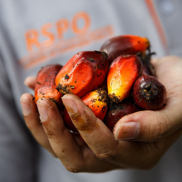 RSPO Certified Palm Oil